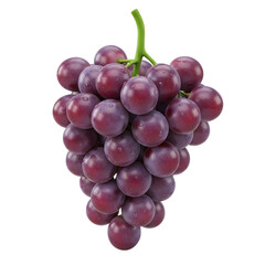 Fototapeta premium Fresh purple grapes with water droplets on a green stem