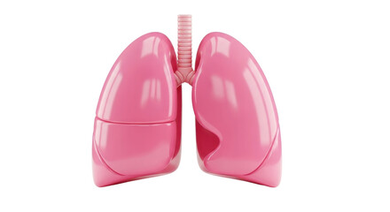 Realistic Pink Lungs Anatomy Illustration - Respiratory System