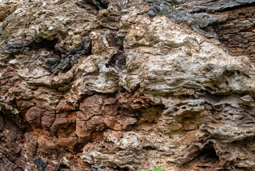 Primo piano di una superficie di legno in decomposizione, che mette in mostra texture e strati...