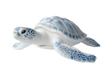 Plastic Sea Turtle Toy in Blue and White with Studio Lighting on Isolated White Background for Marine Conservation isolated on transparent background
