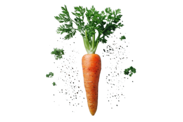 Fresh carrot with green leaves in vibrant orange color on white background with splashes for healthy eating isolated on transparent background