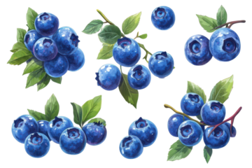 Delicious juicy blueberries isolated on transparent background