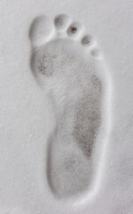 Single footprint in snow showing toes, heel, arch, winter detail
