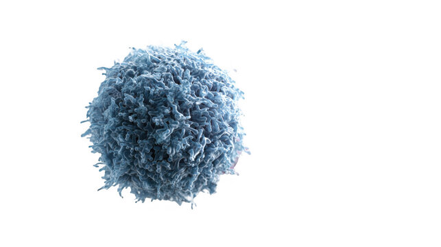 Genetically engineered car t cells are moving towards and attacking a large cancer cell, dissolving it on a transparent background, in a 3d medical illustration
