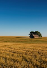 Expansive rolling agricultural fields under a vast blue sky, featuring a distant, weathered wooden barn and mature trees on the horizon, outdoors, landscape, quiet