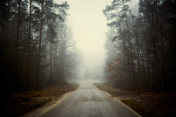asfaltowa droga,mgła 