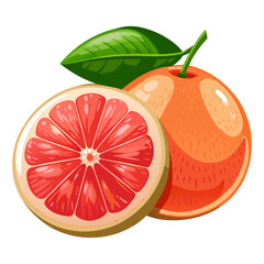 Fresh Grapefruit Whole and Sliced with Green Leaf Vector Illustration