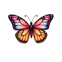 butterfly flying isolated, butterfly vector illustration, butterfly clipart PNG, butterfly flat design vector, butterfly cartoon vector, butterfly isolated artwork PNG, butterfly wings illustration, b © mrpixel