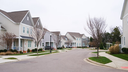 Modern Southern American Townhomes