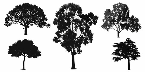 Silhouettes of various deciduous and coniferous trees against a white background © Debashis