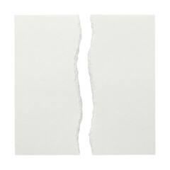 Two Pieces of Torn White Blank Paper Isolated