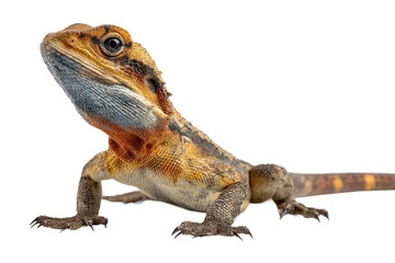 Obraz premium unusual hybrid species artwork isolated on transparent background