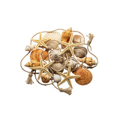 Starfish and shells still life