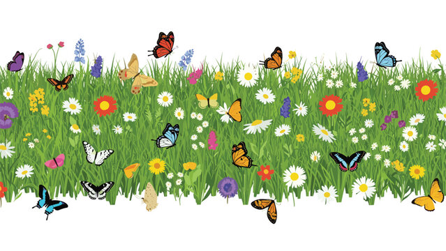 Colorful butterflies flying over a vibrant summer meadow filled with green grass, daisies, and other wildflowers on white background.