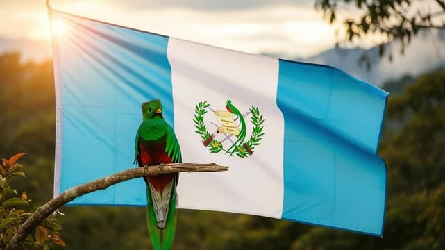 Colorful Green Parrot Perched on Tree Branch with Vibrant Guatemalan Flag in Background at Sunset