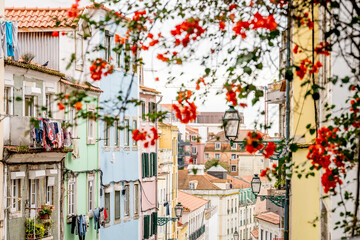 Bougainvillea framing narrow Lisbon street