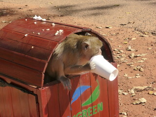 In Laos und Kambodscha