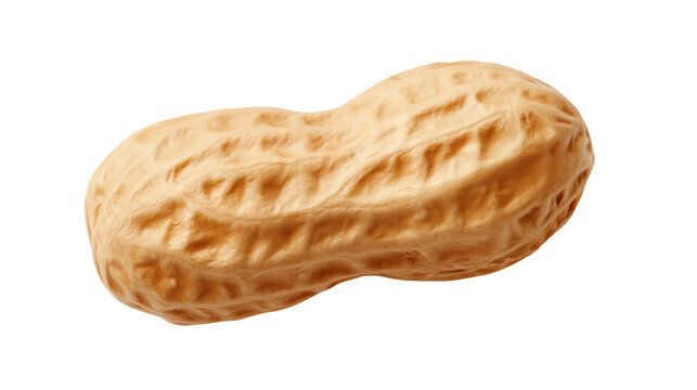 Single peanut in shell isolated on transparent background for food and packaging design.