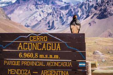 Espectaculares Vistas Del Parque Provincial