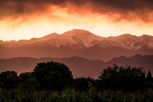 Postal de un vi&ntilde;edo al pie de la cordillera de los Andes al atardecer, en la Provincia de Mendoza, Argentina	