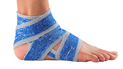 Highly detailed 3d rendering of human foot anatomy displaying bones, muscles, and blood vessels, ideal for educational materials and seamless project integration