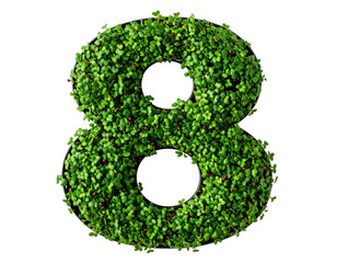 Green moss-covered number 8 isolated on black