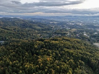 Obraz premium Dense Forest Area Featuring Winding Pathways, Expansive Woodland With Meandering Roads Under Cloudy Skies