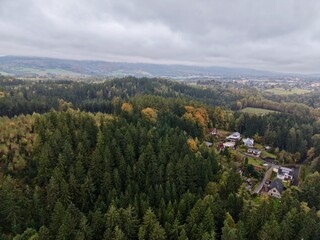 Obraz premium Suburban Woodland Overview, Evaluating Residential Properties Amidst Verdant Rolling Landscape Scenery