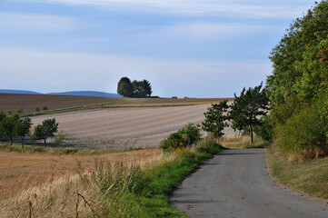 Landschaft bei Wittenburg