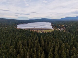 expansive aerial perspective showcasing lush woodland and distant mountain ranges with clouds