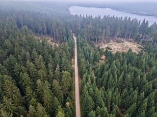 quiet ride through wooded area, independent cyclist navigating dense pines with tranquil lake backdrop