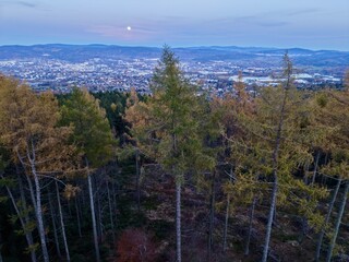 nighttime landscape with moonlight ambience, serene evening view featuring moonlit trees and mist