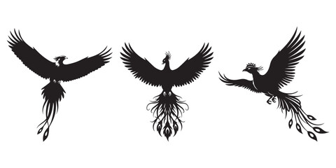 Obraz premium Silhouette of a phoenix with wings spread wide and tail feathers displayed against white background, Soaring phoenix silhouette black bird icon vector, pro