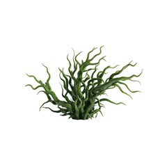 Obraz premium Wavy Green Aquatic Plant or Seaweed Vegetation Isolated on White Background
