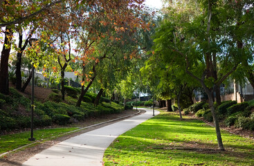 Obraz premium Curving pedestrian path through a landscaped park in Corona, California, surrounded by trees and greenery in soft daylight.