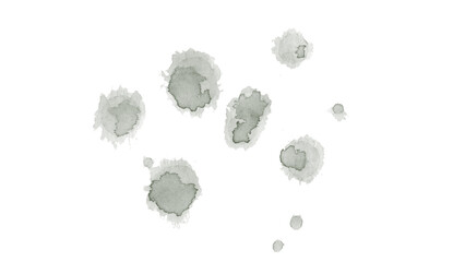 Deep Forest Green Watercolor Brush