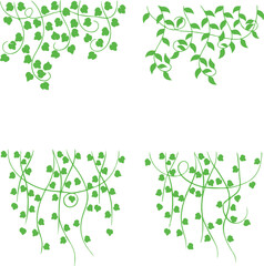  Decorative Green Vine Leaves Hanging Botanical Border Vector.
