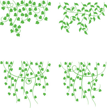  Decorative Green Vine Leaves Hanging Botanical Border Vector.