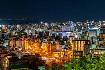 城山公園から見た鹿児島市内の夜景