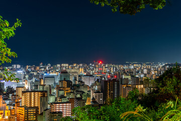 城山公園から見た鹿児島市内の夜景