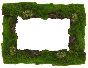 Mossy stone frame, rectangular, dark center