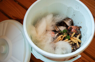 Compostable packaging material made from sheep wool in a compost bin. Biodegradable material.