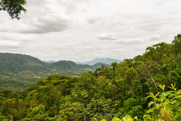 Atlantic forest landscape: view from the mountains at Estrada Rio do Julio in Schroeder, Santa Catarina, Brazil