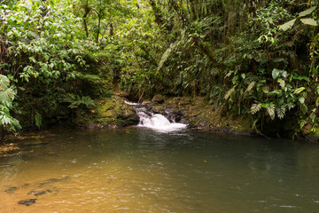 Po&ccedil;a do Xaxim, small waterfall with beautiful natural pool by Estrada Rio do Julio - Schroeder, Santa Catarina, Brazil