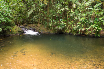 Po&ccedil;a do Xaxim, small waterfall with beautiful natural pool by Estrada Rio do Julio - Schroeder, Santa Catarina, Brazil