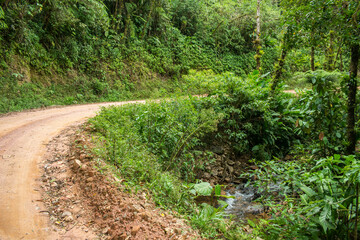 Scenic rural road view of Estrada Rio do Julio surrounded by Atlantic forest - Santa Catarina, Brazil