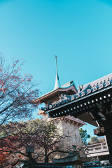 Fototapeta premium 京都の知恩院の風景