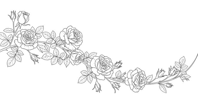 Horizontal Hand-Drawn Rose Garland Design with Leaves and Buds, Elegant Black and White Vector