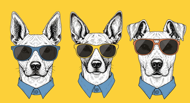 Three Stylish Dog Portraits in Sunglasses and Shirts on a Yellow Background, Trendy Pet Fashion