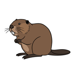 Cartoon illustration of a brown beaver sitting with its front paws together, showcasing its prominent teeth and whiskers.